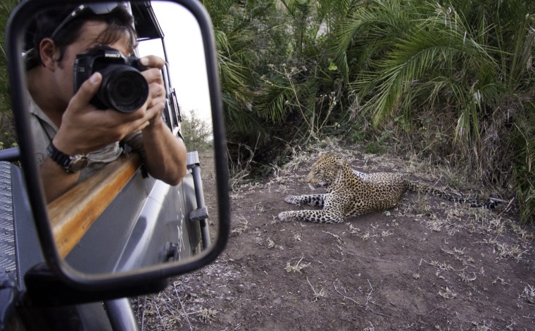 Sometimes Du Toit takes photographs from inside a vehicle, and sometimes he hops out for even closer shots.